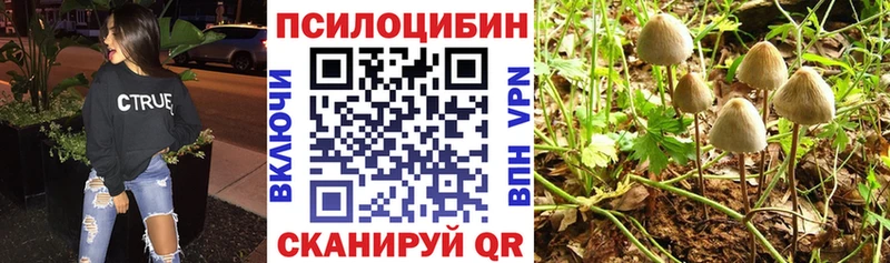 Псилоцибиновые грибы MAGIC MUSHROOMS  Чёрмоз 